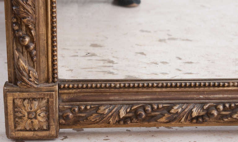 French Louis XVI-Style Giltwood Mirror 2