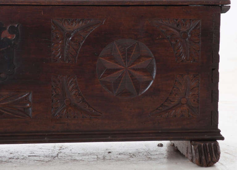 Spanish 18th Century Carved Trunk  3