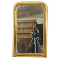 French Gold Gilt 19th Century Louis Philippe Mirror