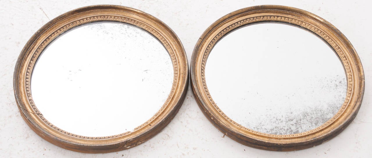 English Pair of 19th Century Gilt Round Mirrors 4