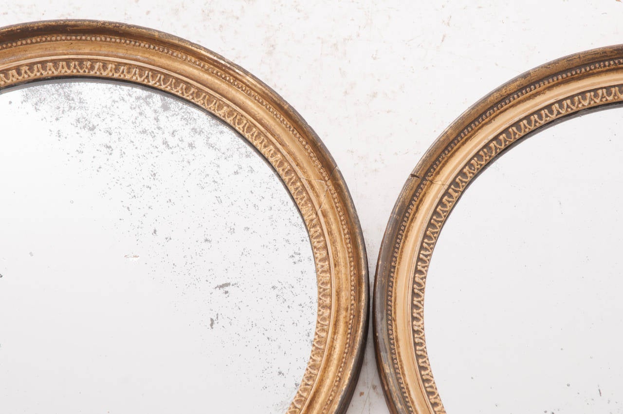 English Pair of 19th Century Gilt Round Mirrors 5