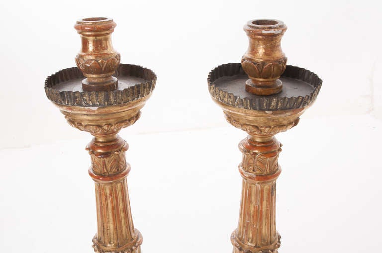 French 19th Century Pair of Tall Gold Gilt Altar Torcheres