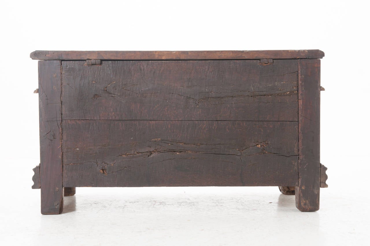 French 19th Century Carved Coffer Trunk 7