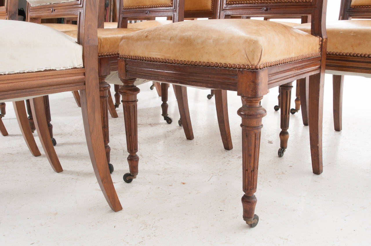 Set of 16 French 19th Century Walnut Dining Chairs 5
