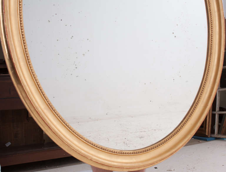 Large French 19th Century Gold Gilt Oval Mirror 2