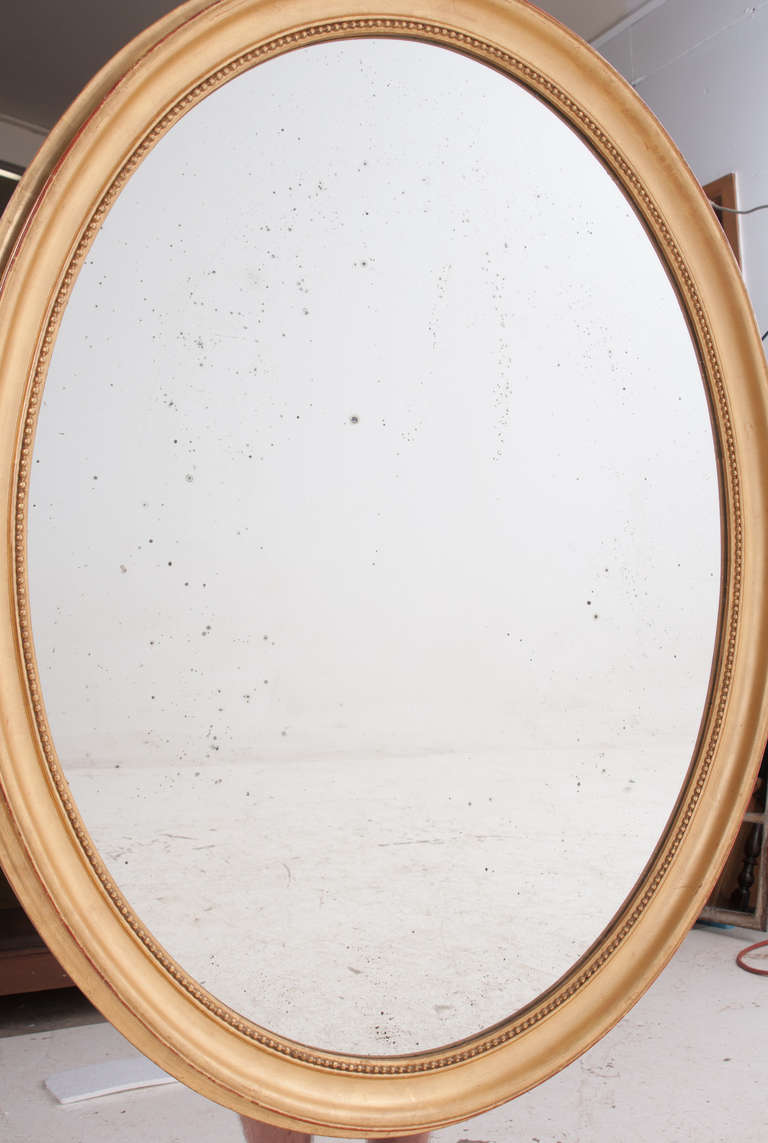 Large French 19th Century Gold Gilt Oval Mirror 3