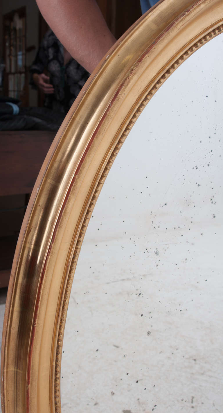 Large French 19th Century Gold Gilt Oval Mirror 4