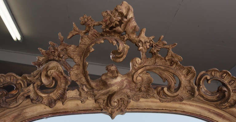 French Rococo style mirror with iconic carvings featuring the 'C' scroll, leaves and vines. Wonderful shaped mirror with arched top. Molding has been repaired to parts of the crest as you may be able to tell in the detail photos, mirror glass is not