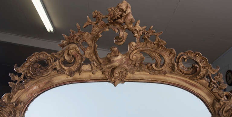 French 19th Century Rococo Carved & Gold Gilt Mirror In Good Condition In Baton Rouge, LA