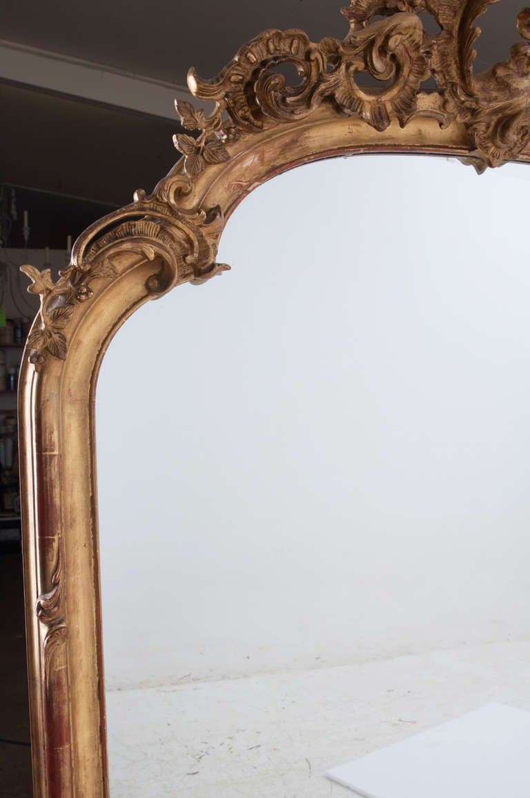 French 19th Century Rococo Carved & Gold Gilt Mirror 1