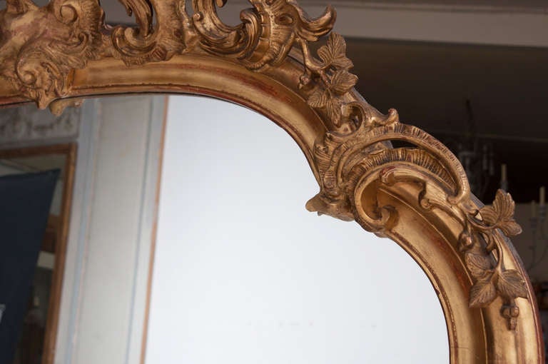 French 19th Century Rococo Carved & Gold Gilt Mirror 2