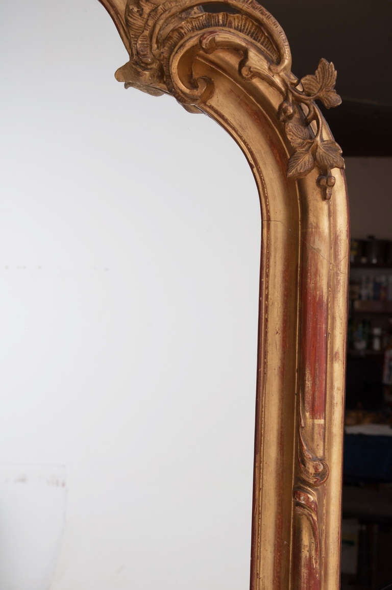 French 19th Century Rococo Carved & Gold Gilt Mirror 3