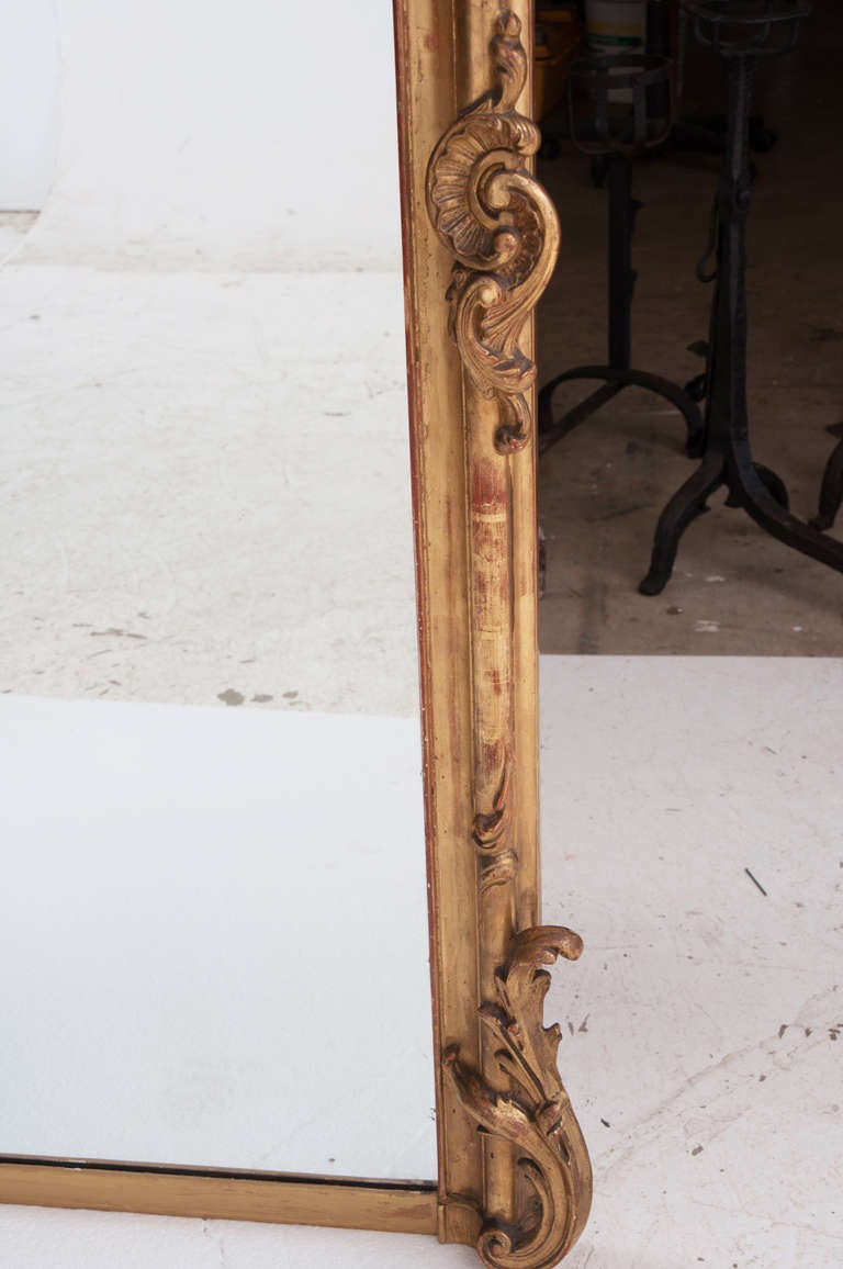 French 19th Century Rococo Carved & Gold Gilt Mirror 6