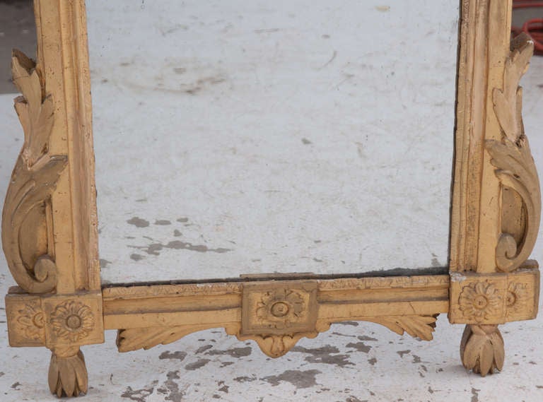 French 18th Century Carved and Giltwood Mirror 1