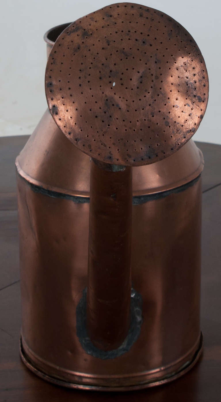 cooper watering can