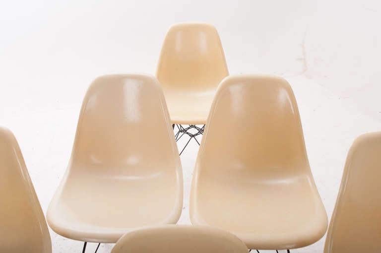Set of 8 Eames for Herman Miller Chairs with Eiffel Tower Base 3