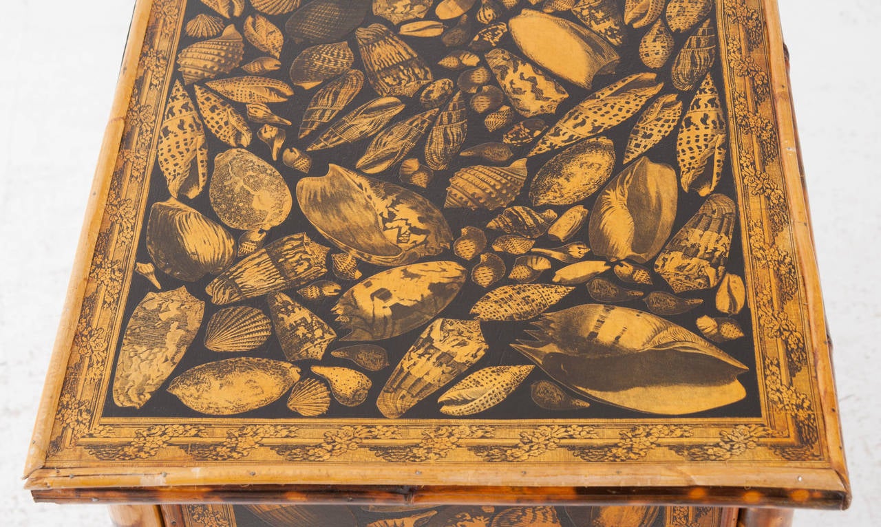 English 19th Century Bamboo and Decoupage Shell Chest 1