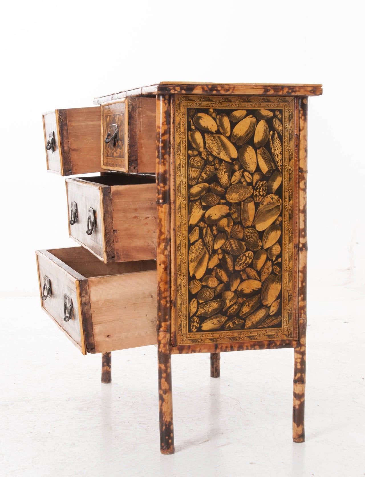 English 19th Century Bamboo and Decoupage Shell Chest 3
