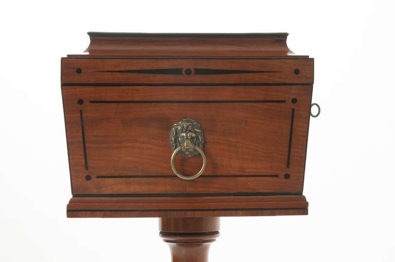 English 19th Century Mahogany and Ebony Decanter Caddy 2