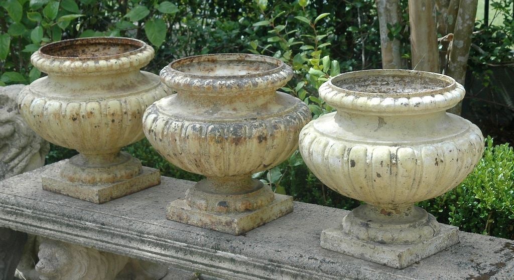Great weathered metal urns. Great size with elegant details.<br />
$1000.00/one<br />
$1,900.00/pair<br />
$2,800.00/three<br />
$3,100.00/four<br />
$3,800.00/five