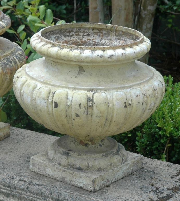 19th Century French Painted Metal Urn Planters