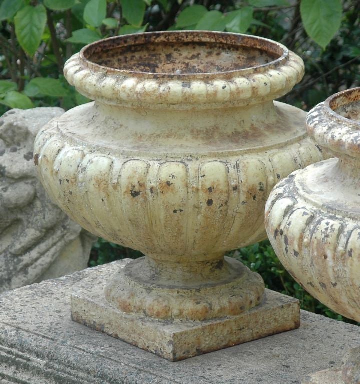 French Painted Metal Urn Planters 1