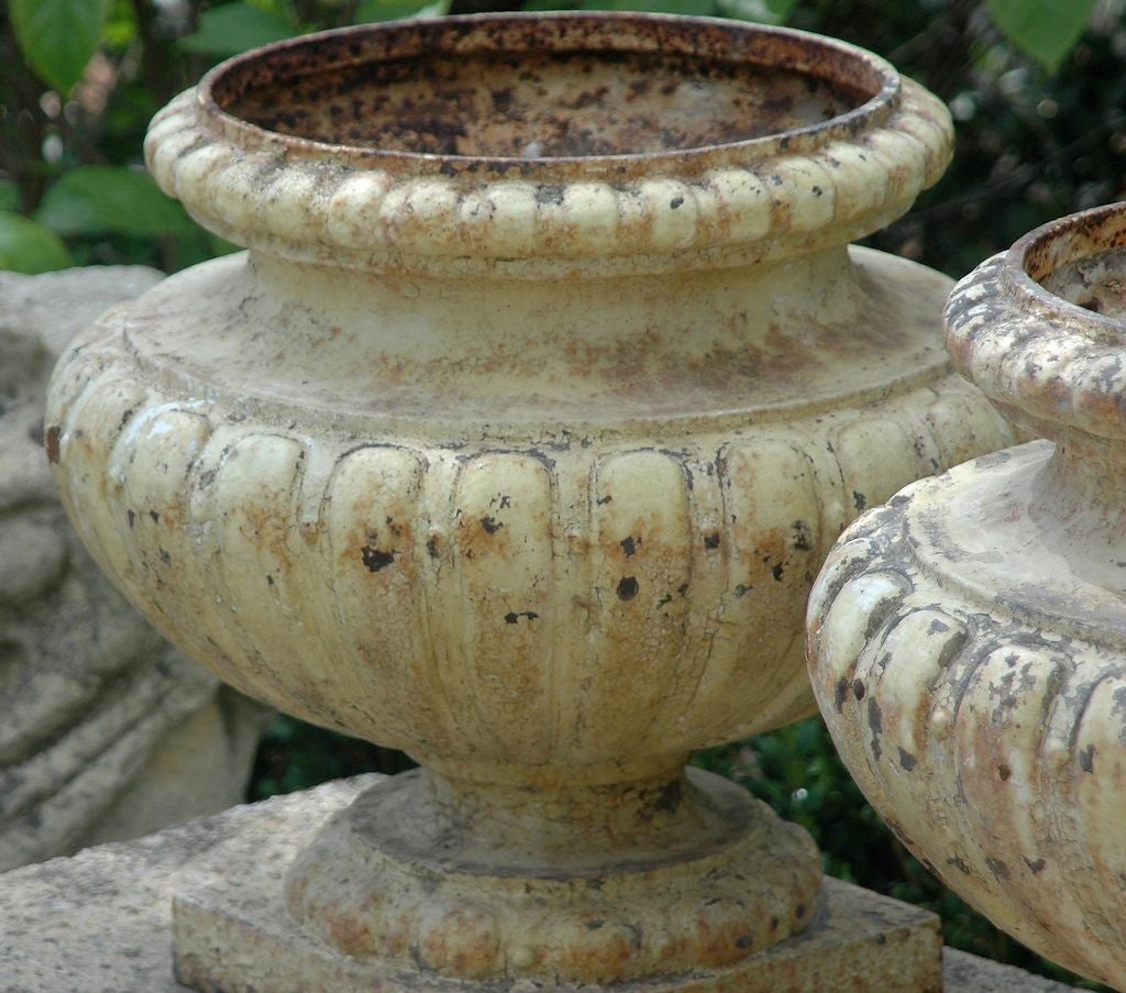 French Painted Metal Urn Planters 2