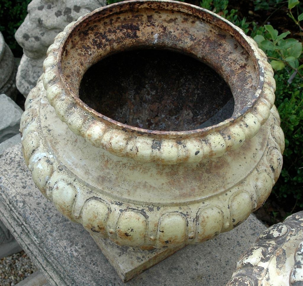 French Painted Metal Urn Planters 4