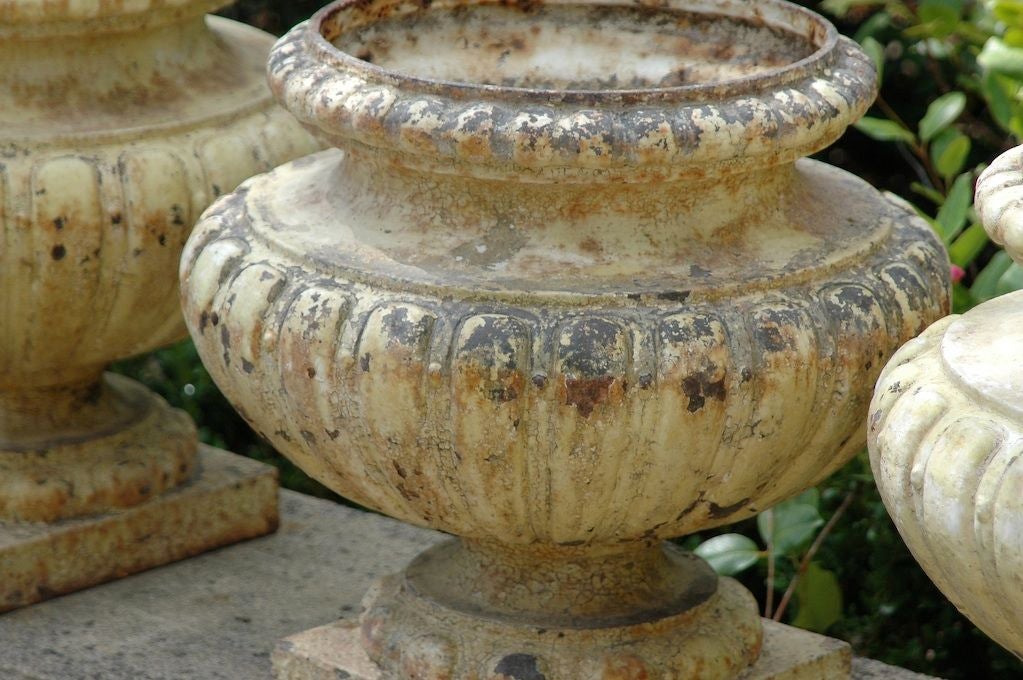 French Painted Metal Urn Planters 5