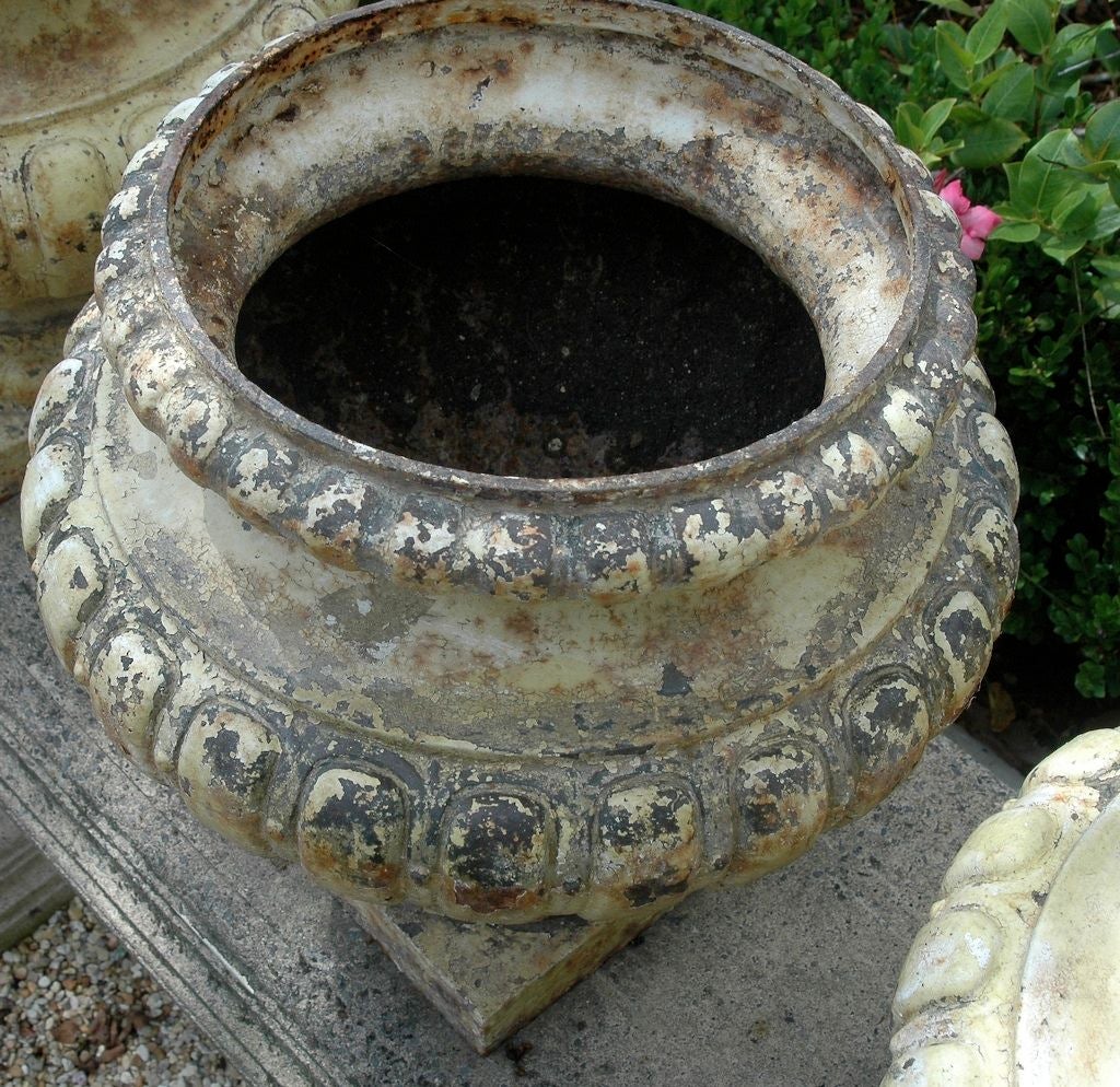 French Painted Metal Urn Planters 6