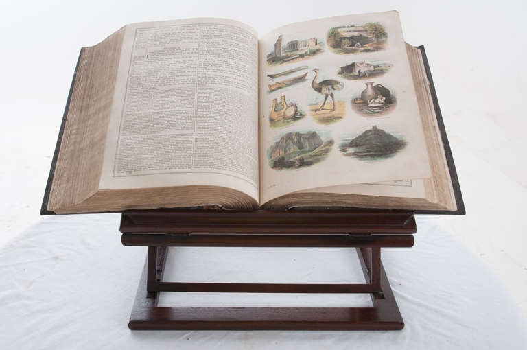 Wonderful bookstand that folds flat with adjustable levels for the best angle. Great for books and could also work great to display art. 1800's
The stand is only 2 7/8
