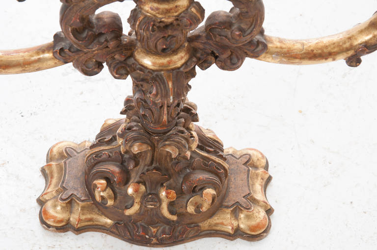 Italian 19th Century Carved Gold Gilt 5 Arm Candelabra In Good Condition In Baton Rouge, LA