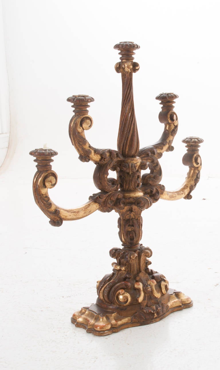 Italian 19th Century Carved Gold Gilt 5 Arm Candelabra 3