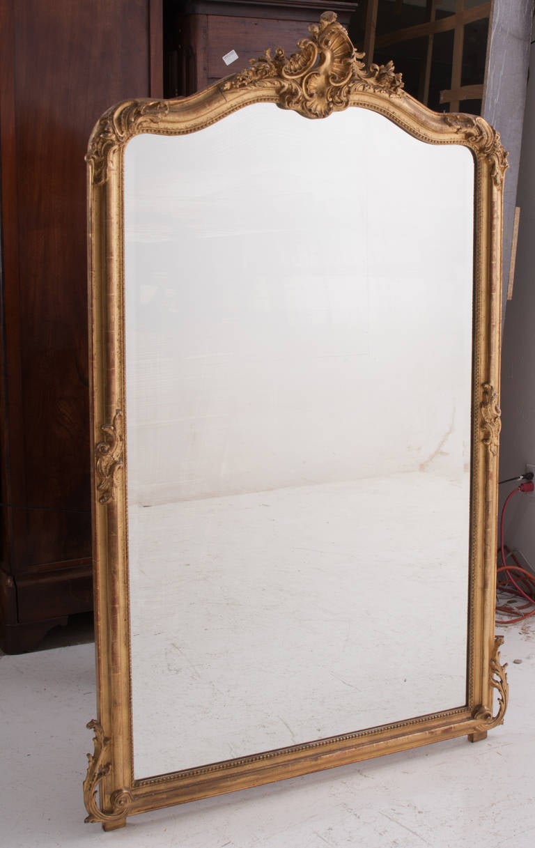 French 19th Century Louis XV Style Gold Gilt Mirror 4