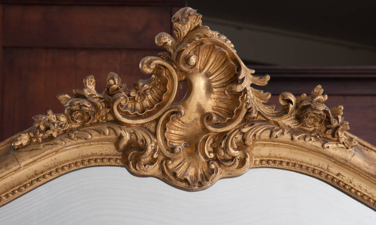 French 19th Century Louis XV Style Gold Gilt Mirror In Good Condition In Baton Rouge, LA