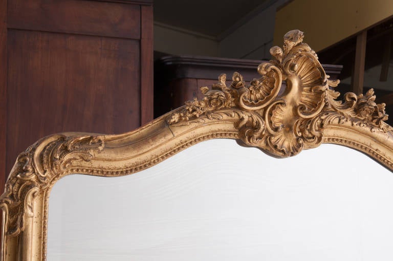 French 19th Century Louis XV Style Gold Gilt Mirror 1
