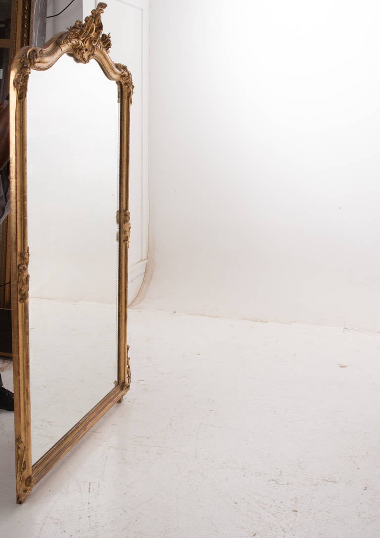 French 19th Century Louis XV Style Gold Gilt Mirror 5