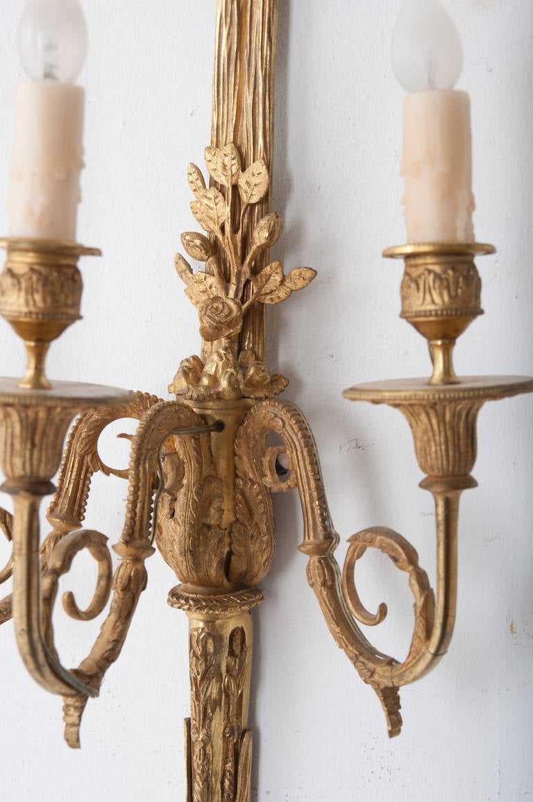 French 19th Century Louis XV Brass Sconces In Excellent Condition In Baton Rouge, LA
