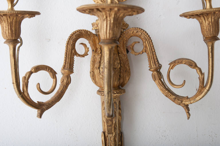 French 19th Century Louis XV Brass Sconces 1