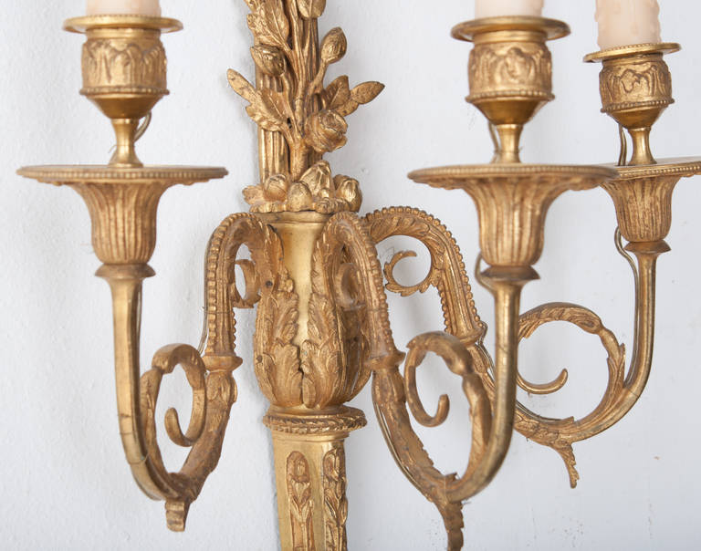 French 19th Century Louis XV Brass Sconces 2