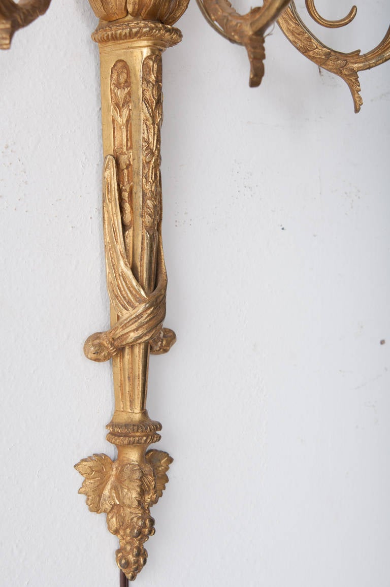French 19th Century Louis XV Brass Sconces 3