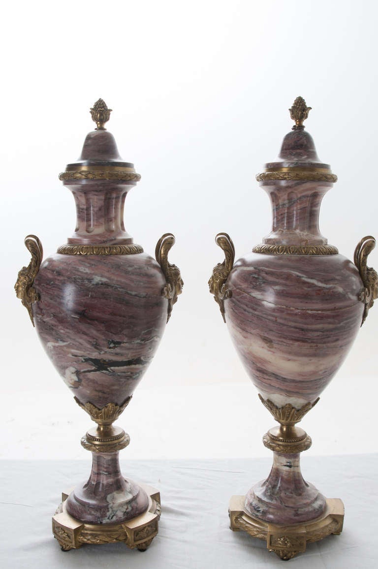 French 19th Century Pair of Purple Marble & Bronze Cassolettes 2