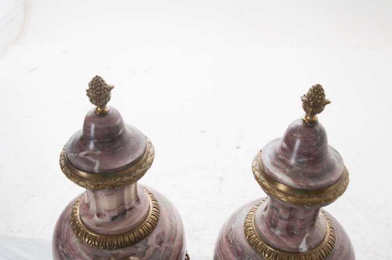 French 19th Century Pair of Purple Marble & Bronze Cassolettes 4