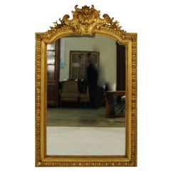 French 19th Century Gold Gilt 57" Mirror