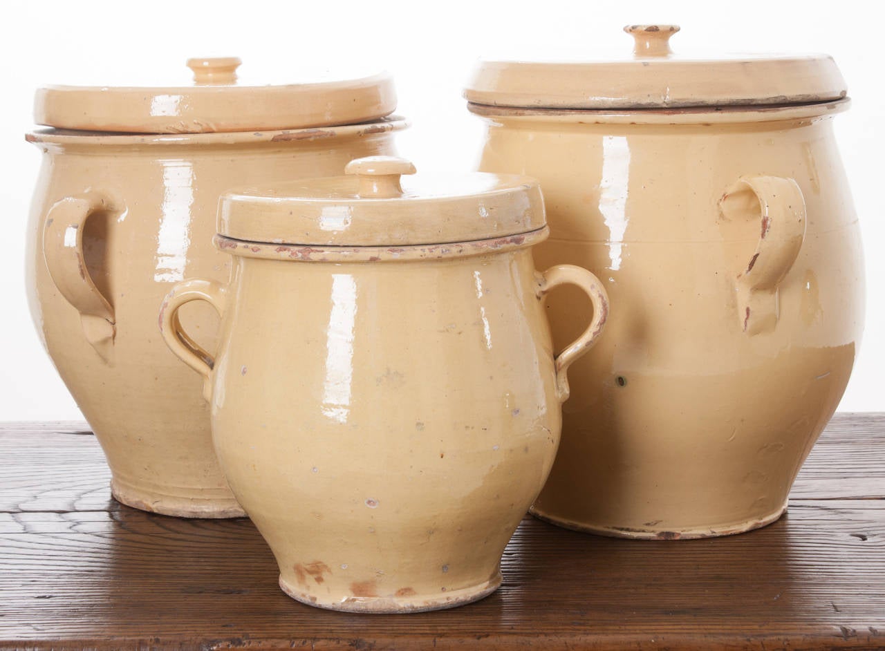 French 19th Century Egg Jars, Sold Separately