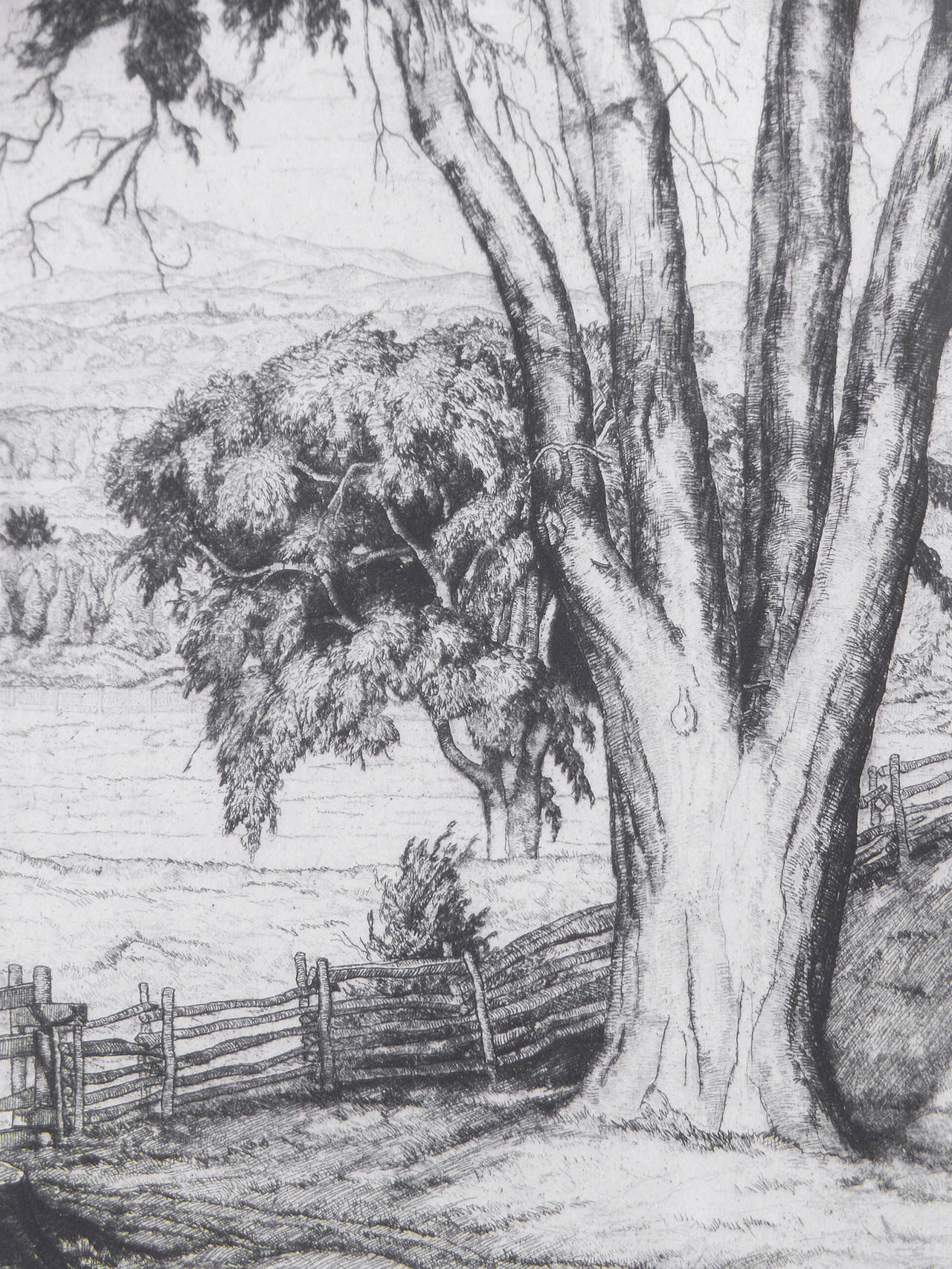 Beautifully capturing a lovely scene of rollings hills, planted fields, rail fences and an old elm tree in the foreground, this is one of Luigi Lucioni's finest prints. Lucioni is best known as a realist, producing still lifes, landscapes and