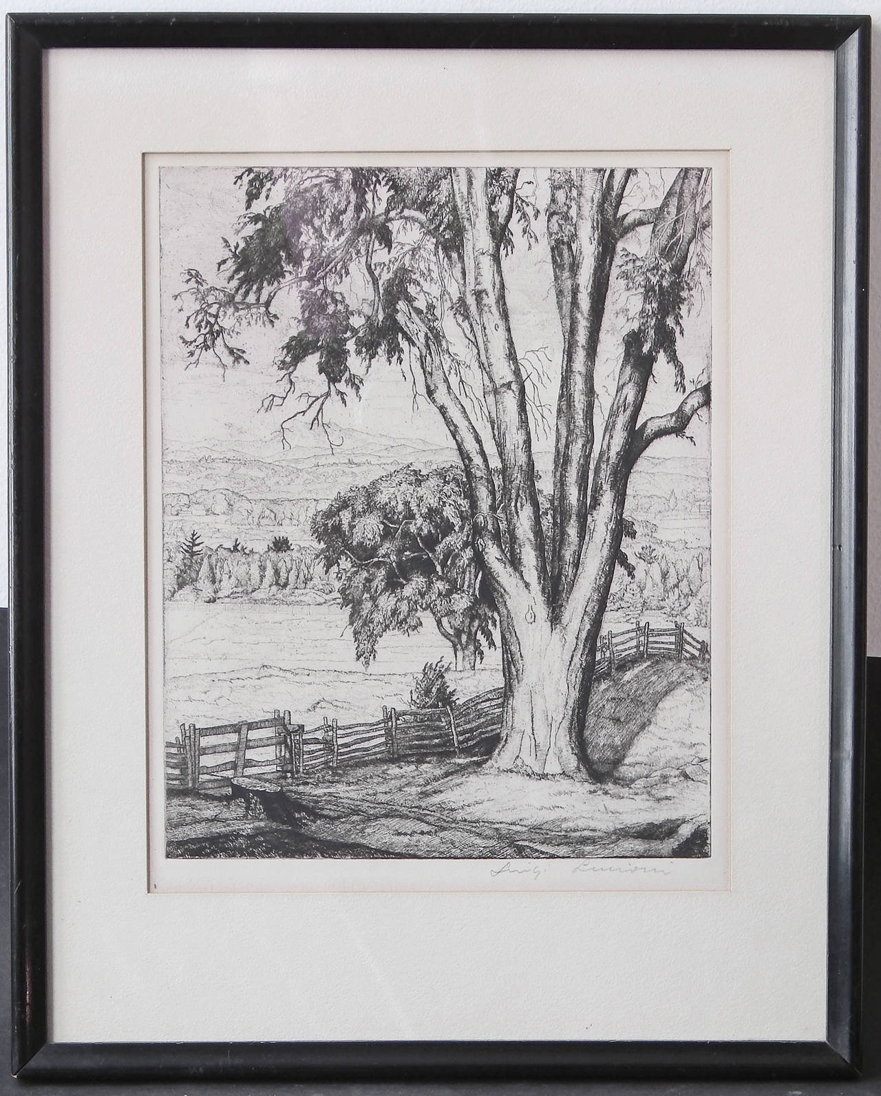 Américain « L'orme ancien », gravure de Luigi Lucioni, 1934 en vente