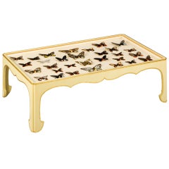 Low Table with a Collection of 19th Century Butterflies