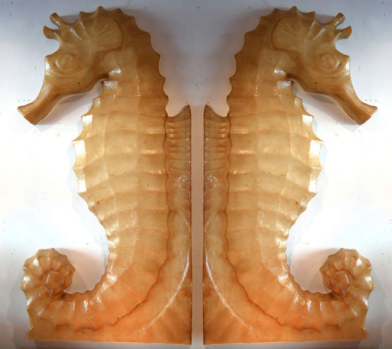 Large-scale and with perfect detail, this pair of translucent cast resin seahorses glow beautifully when backlit.   Use your imagination here - these will be a great conversation piece in an installation most anywhere.