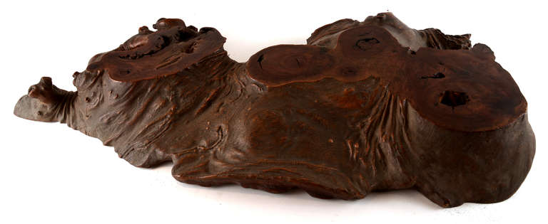 Curvy Polished Mahogany Burl Slab In Excellent Condition In Seattle, WA